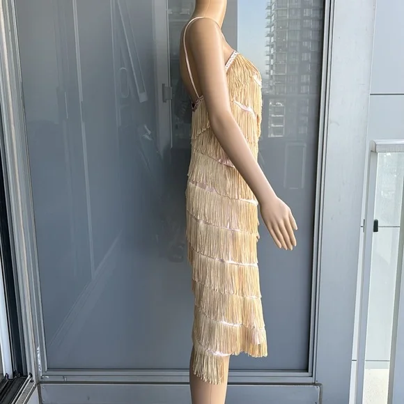 Vintage Fringe Flapper Girl Dress - Picture 3 of 14